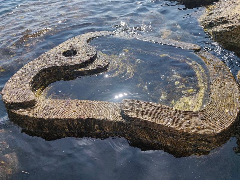 Tide Pool