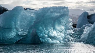 Polar Mission: Oceanographic Museum’s New Immersive Exhibition