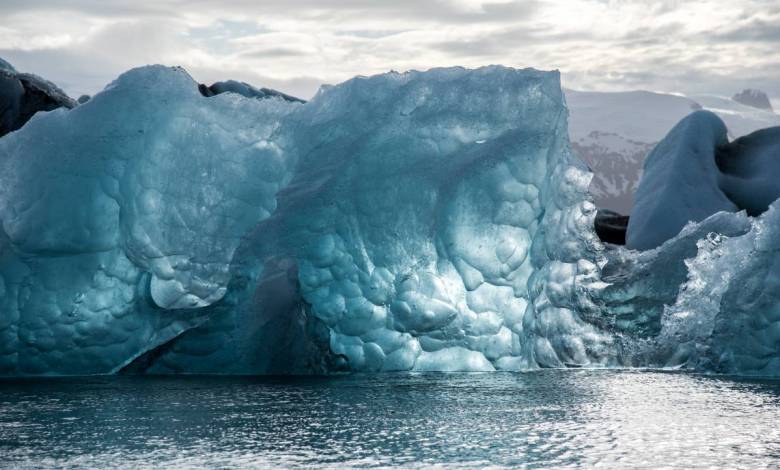 Polar Mission: Oceanographic Museum’s New Immersive Exhibition