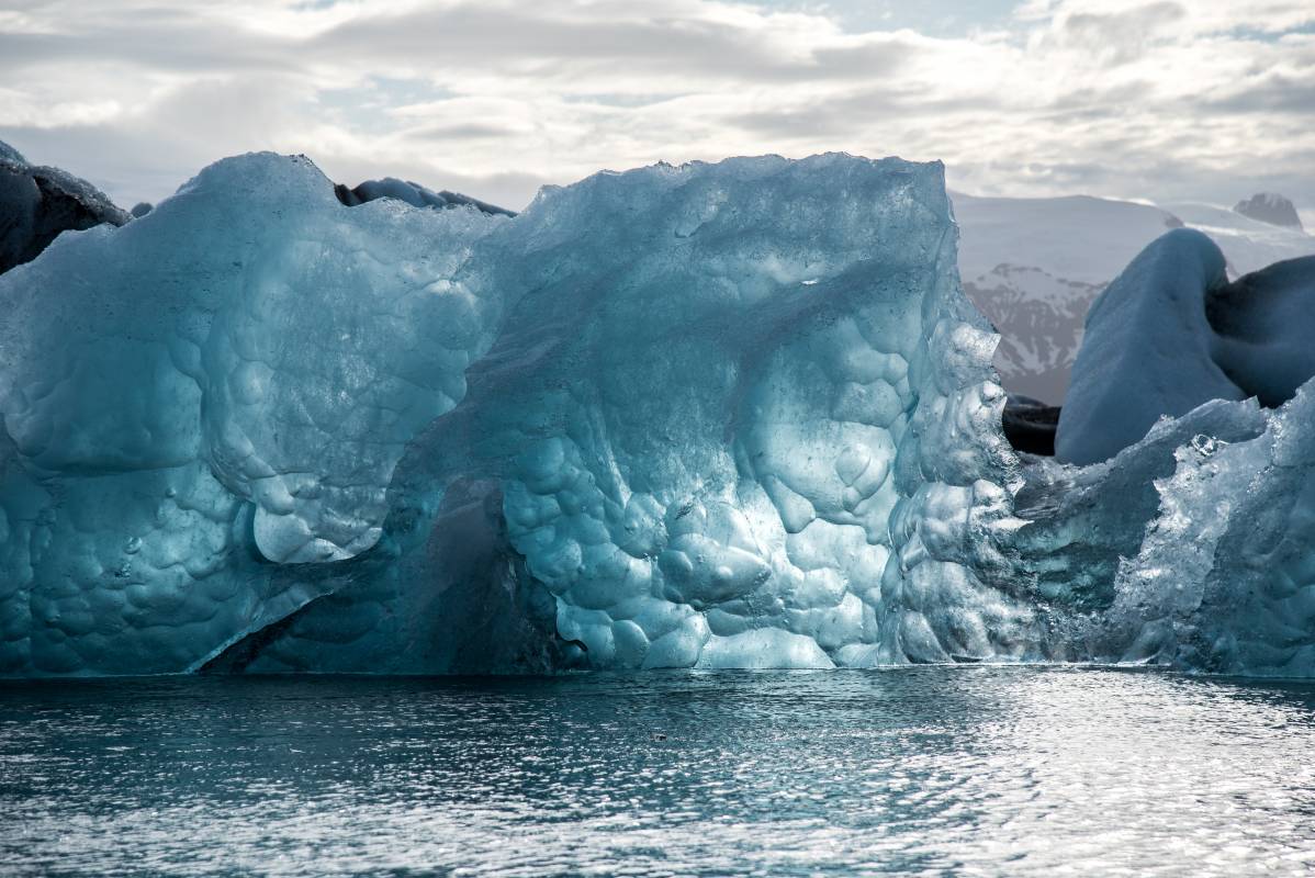 Polar Mission: Oceanographic Museum’s New Immersive Exhibition