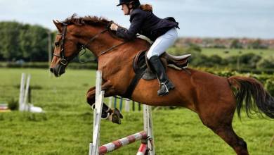 Monaco’s Junior Horseback Team wins 2nd Place in Zurich