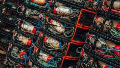 Removing “Ghost Gear” from the Mediterranean