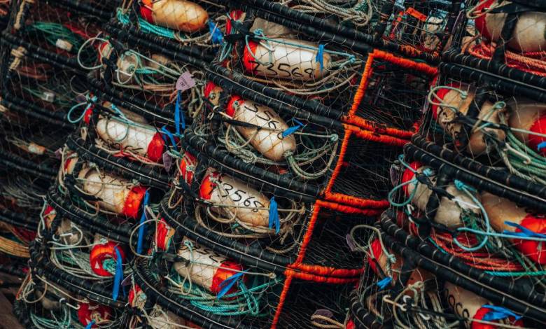 Removing “Ghost Gear” from the Mediterranean