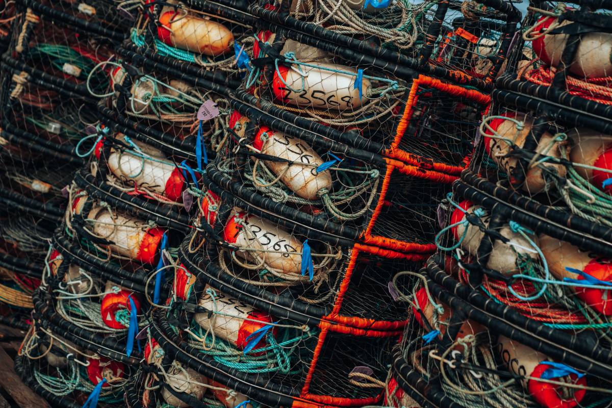 Removing “Ghost Gear” from the Mediterranean