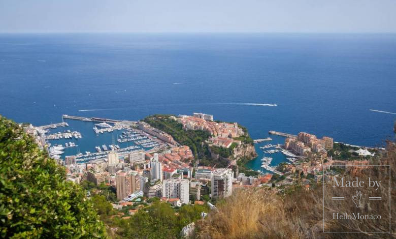 Monaco view