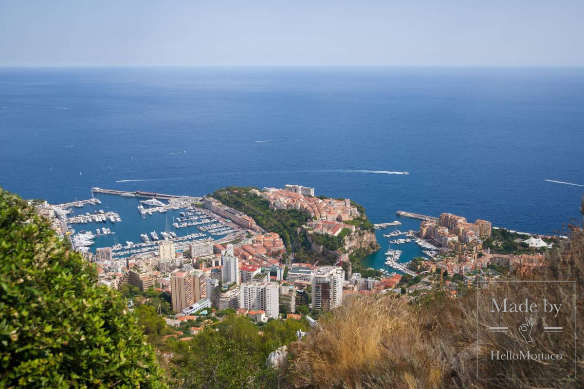 Monaco view