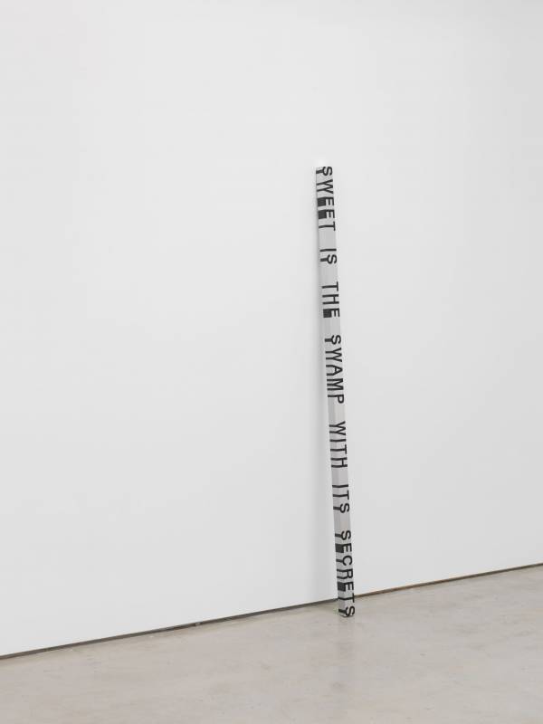 Roni Horn