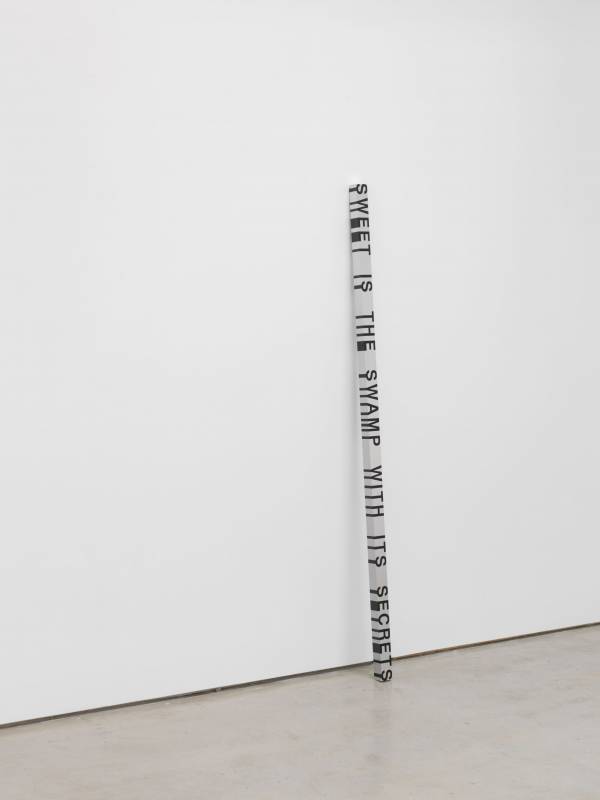 Roni Horn