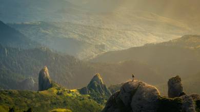Environmental Photography Award 2023 is Open for Registration