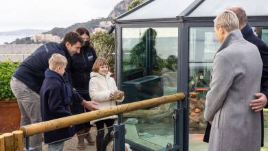 Prince Jaques and Princess Gabriella help bring Endangered Tortoises to Senegal