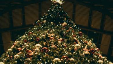 Christmas Tree Auction raises €156,100 Action Innocence