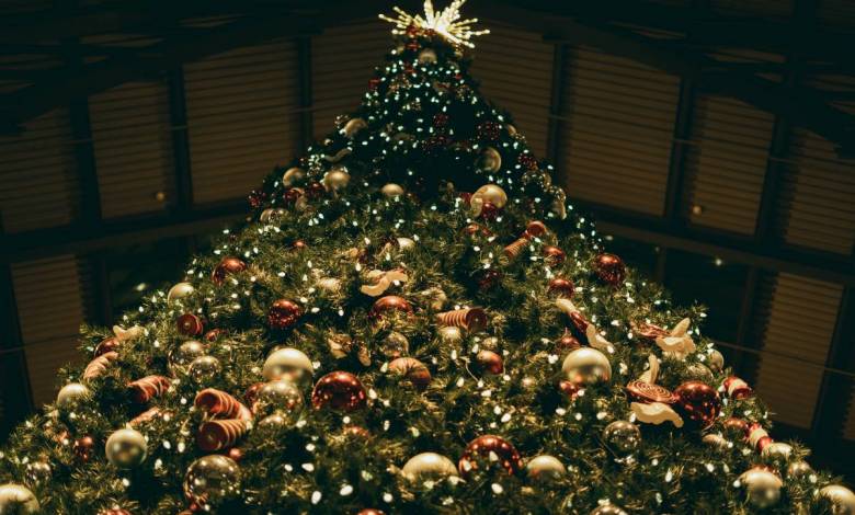 Christmas Tree Auction raises €156,100 Action Innocence