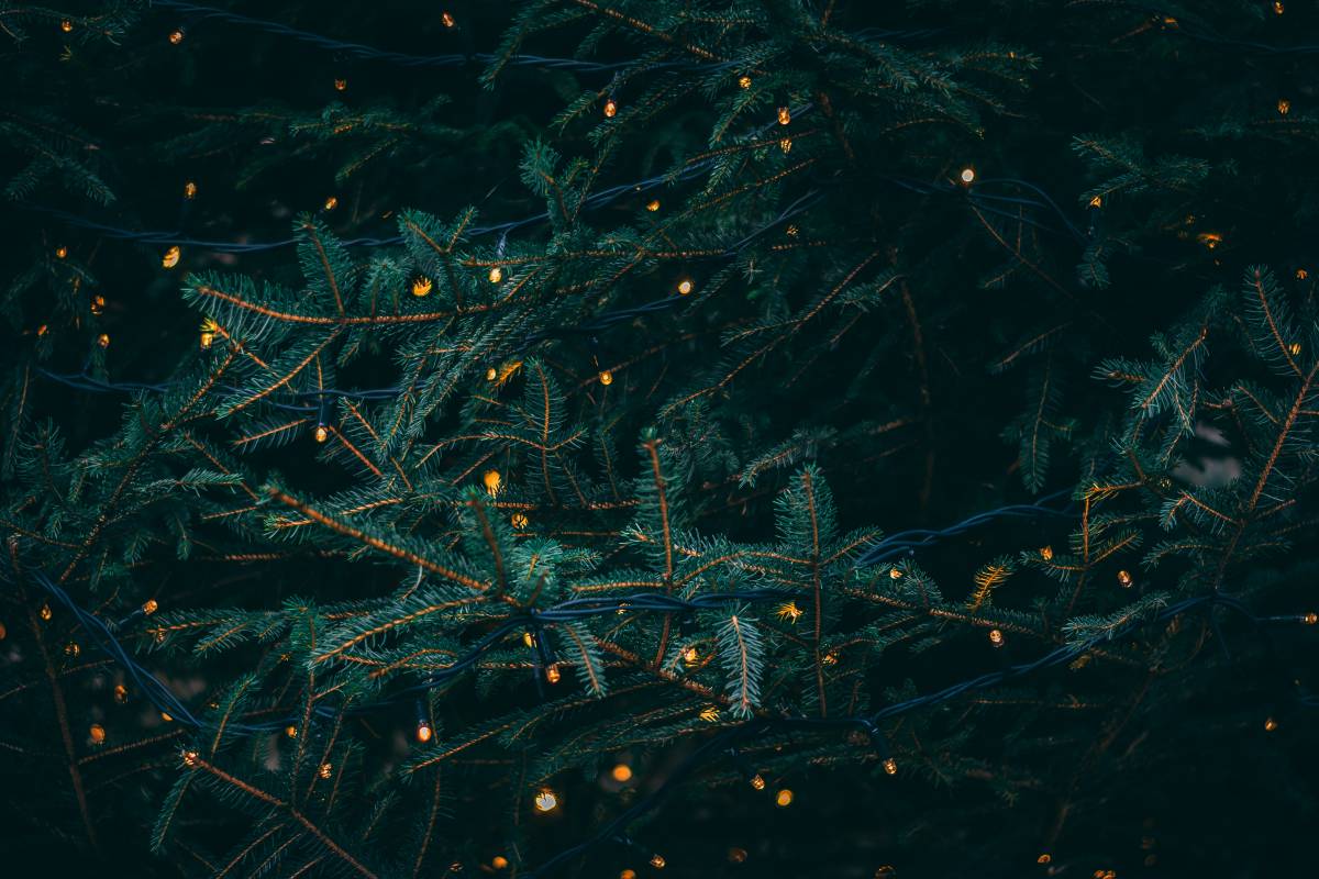 Christmas and New Year