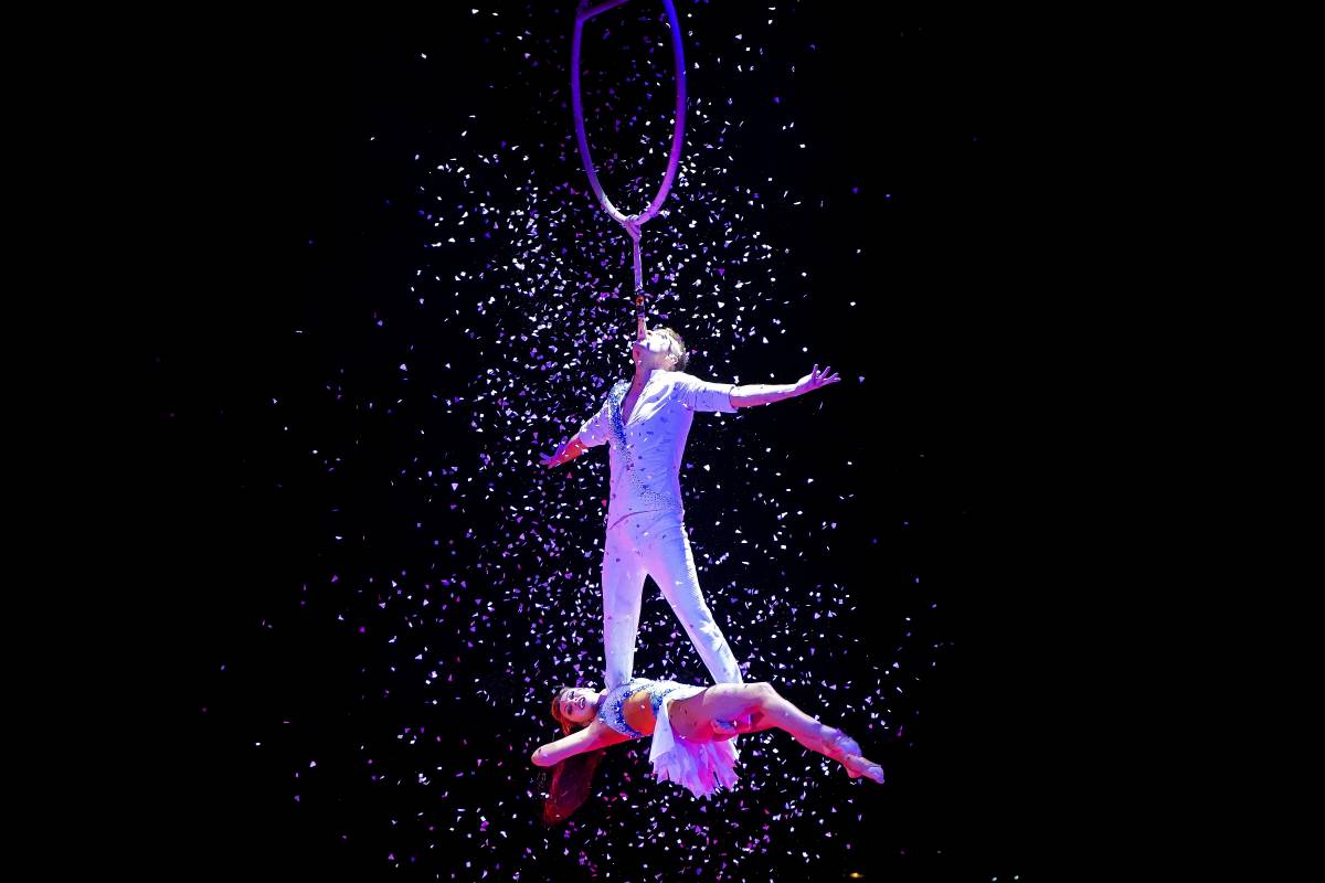 International Circus Festival