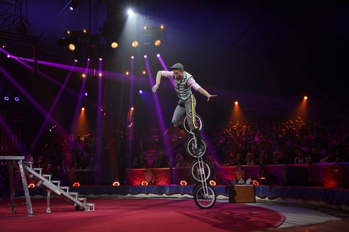 International Circus Festival