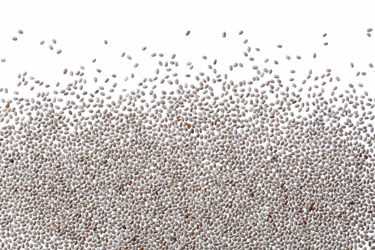 White chia seeds