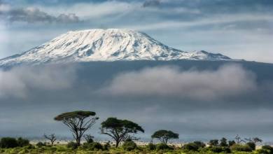 Scaling The Highest Peaks in the World: Who Else But Monegasques!