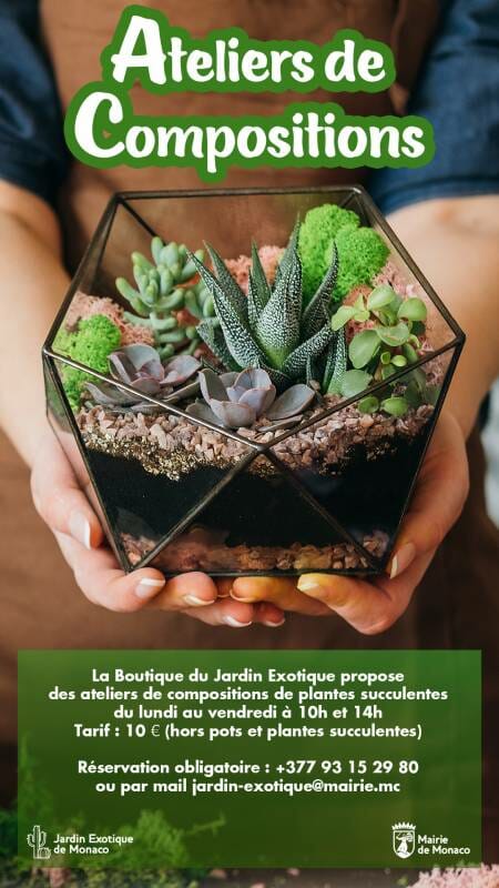 Workshops on Composition of Succulent Plants