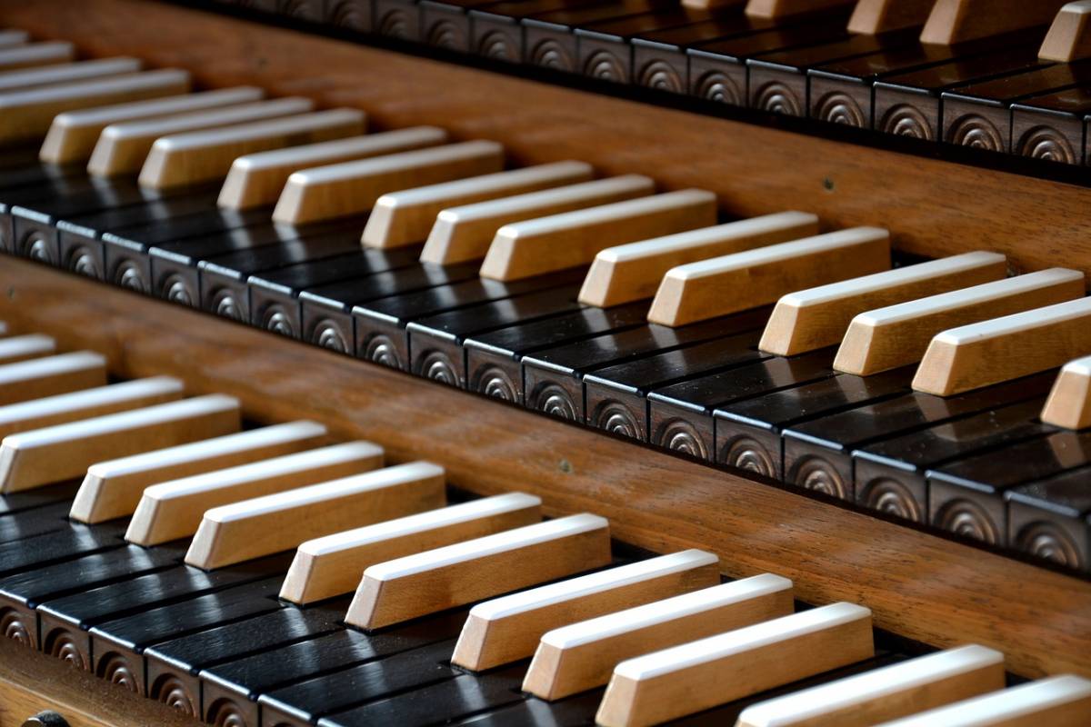 Organ Concert