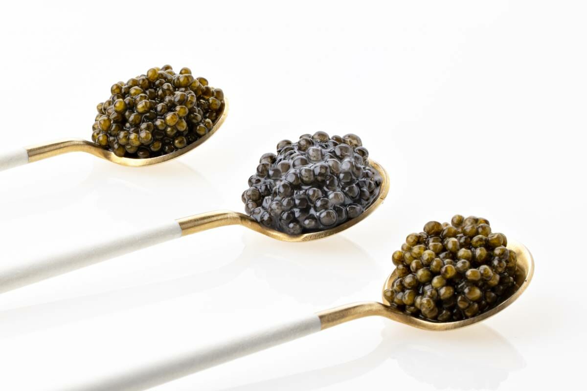 Amura caviar
