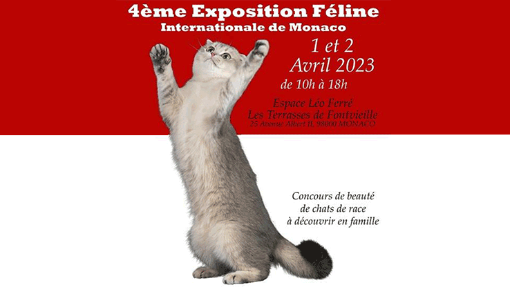 The 4th International Cat Show 