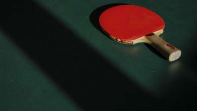 Monegasque Table Tennis Player Climbs to Join the Top in the World