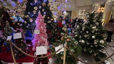 Christmas Tree Auction raises €136,000 for Action Innocence