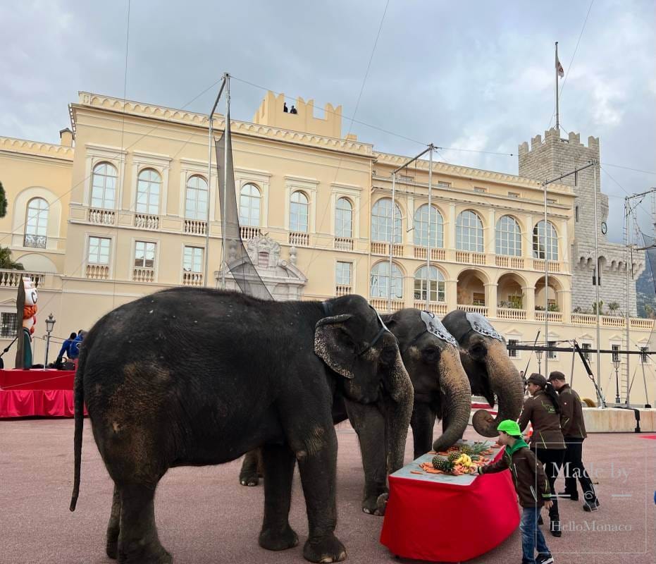 Princely Family attends the Open Air Circus Show