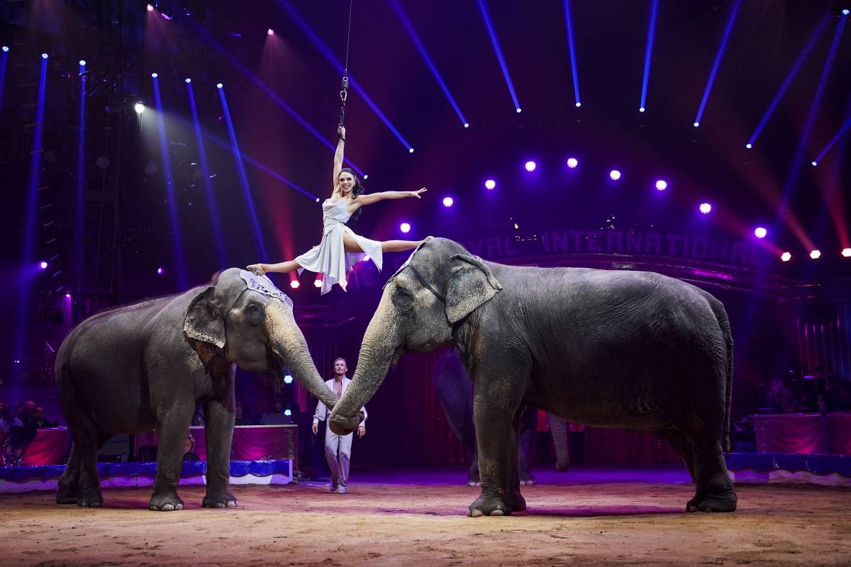 46th Monte-Carlo International Circus Festival