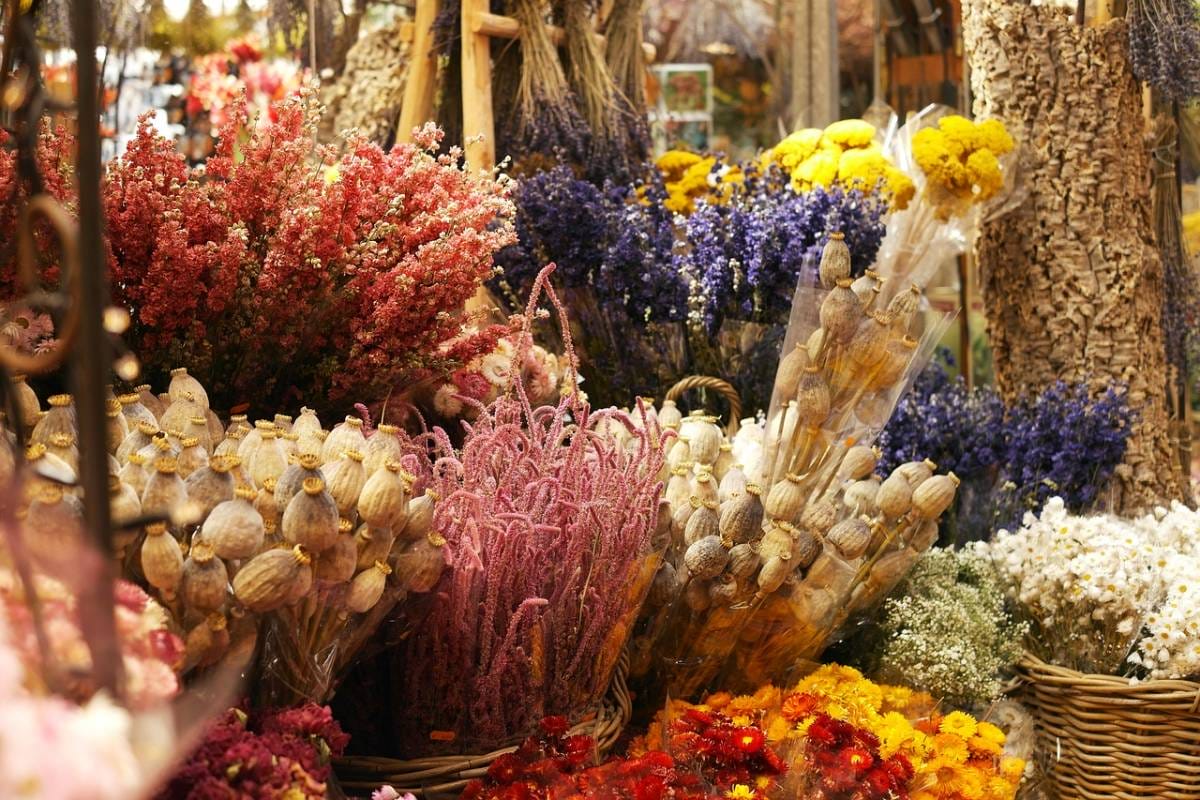 Dried flowers bracelet