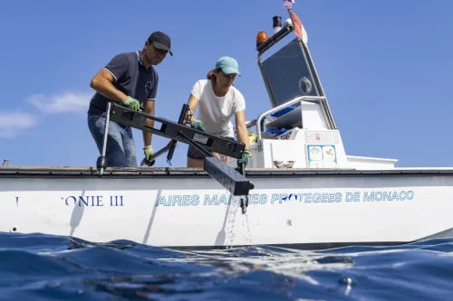 Larvotto Marine Protected Area