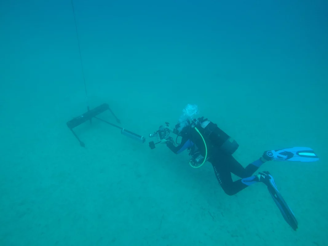 Larvotto Marine Protected Area