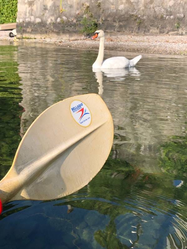 Art de Vivre: Rowing into the Heart of Lake Como