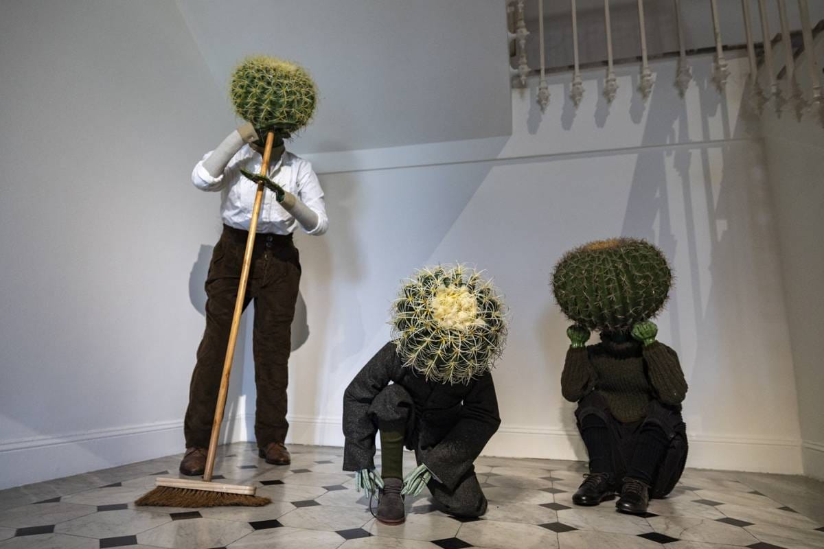 Cactus Exhibition at Villa Sauber