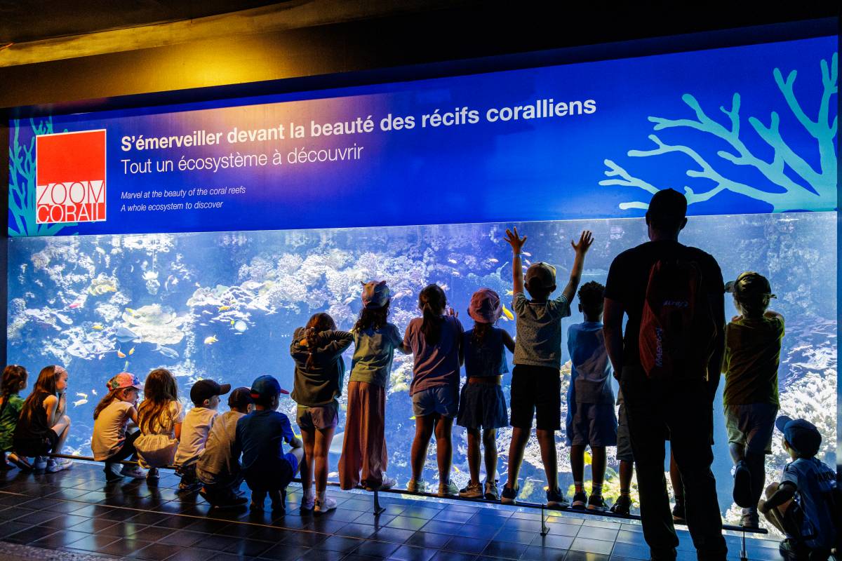 The Oceanographic Museum of Monaco