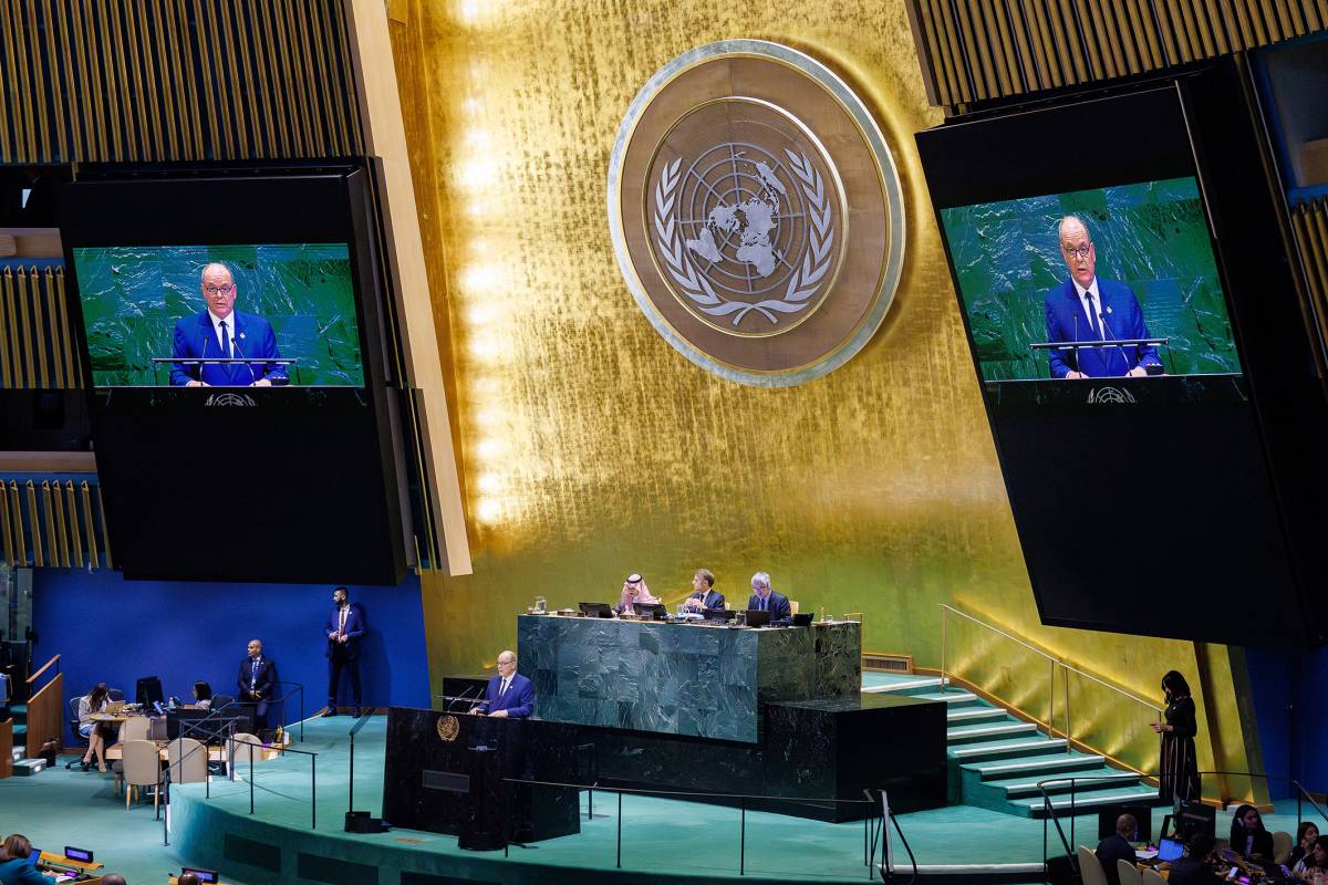 Prince Albert II addresses the United Nations