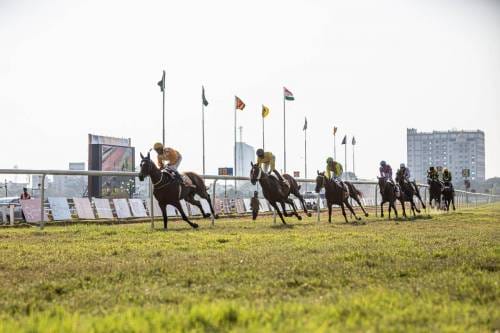 A Beginner’s Guide to Horse Betting