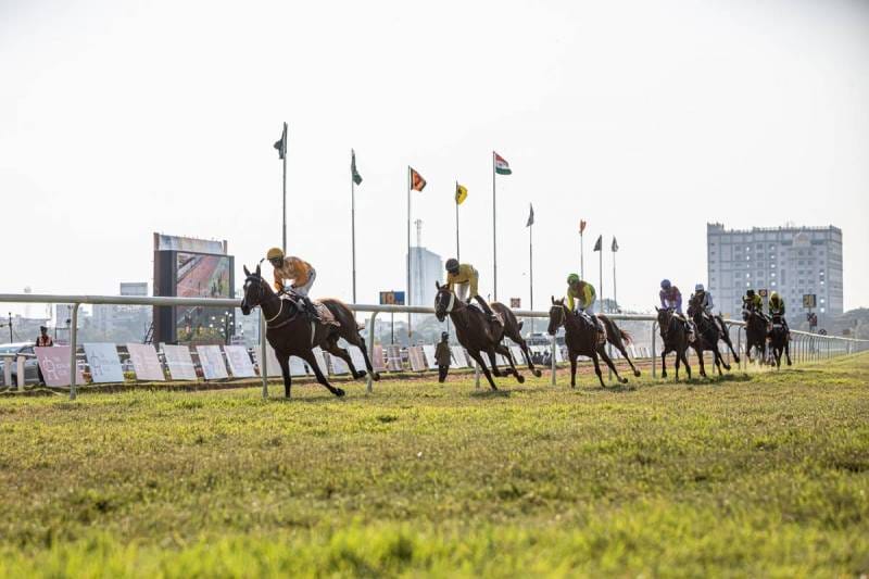 A Beginner’s Guide to Horse Betting