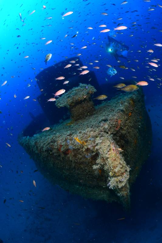 Monaco’s Underwater Photography Masters Revealed