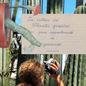 Landscape Stories: A Photography Workshop