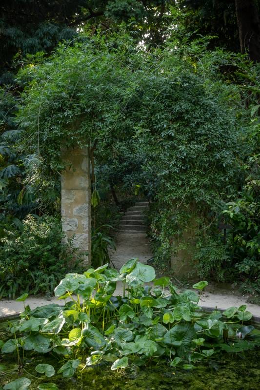 La Serre de la Madone