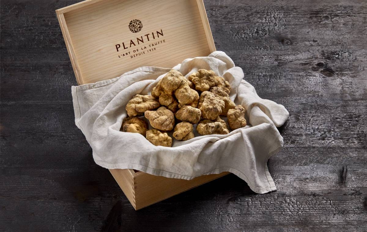 Truffles in all their forms at Maison Plantin