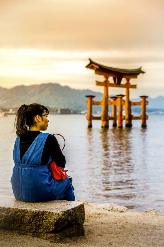 Exposition Japan Highlights