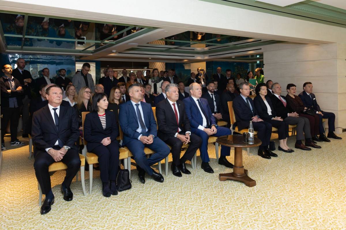 Peace and Sport/#WhiteCard initiative