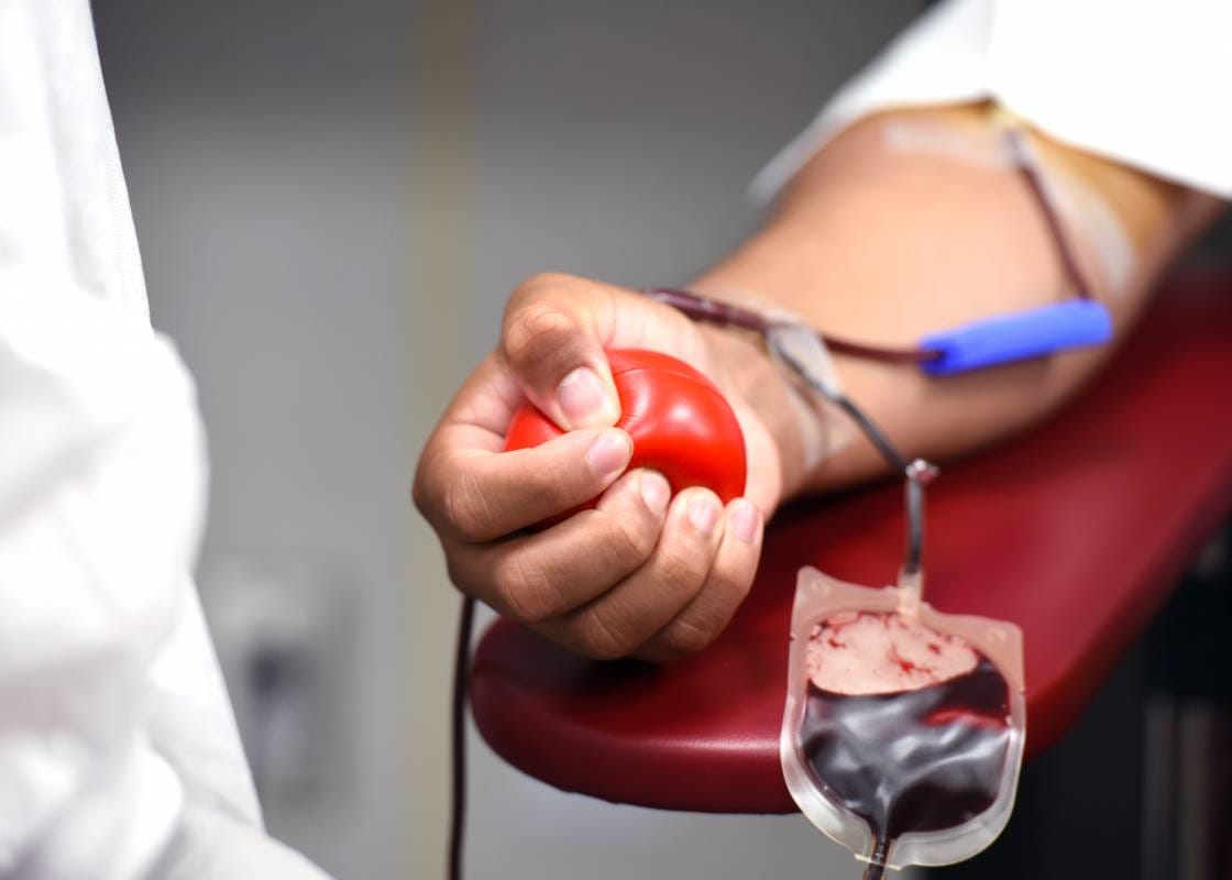 Monaco’s Blood Donation Effort Gains Ground in 2026