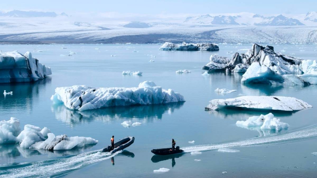 Perfect.live concierge service