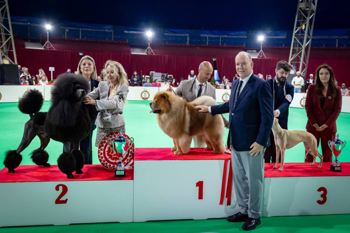 Which Breeds won Monaco’s Prestigious International Dog Show?