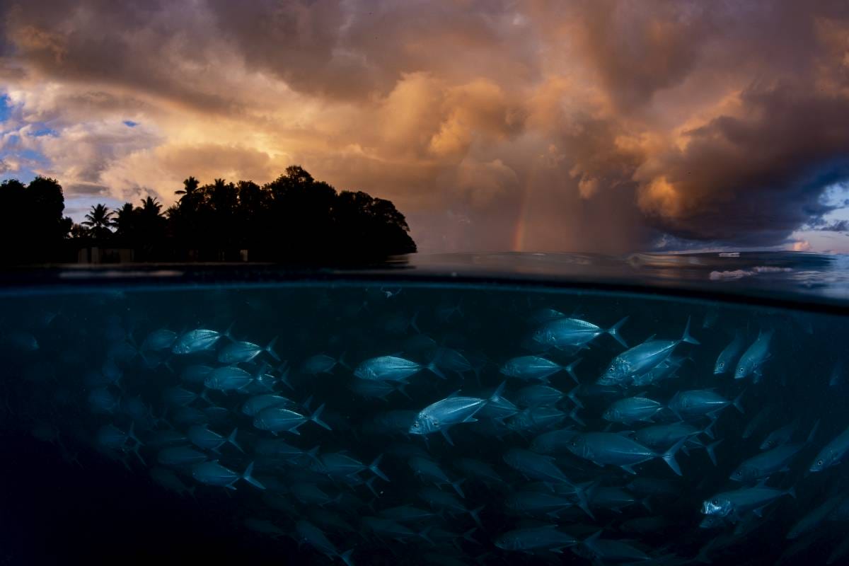 2026 Environmental Photography Prize