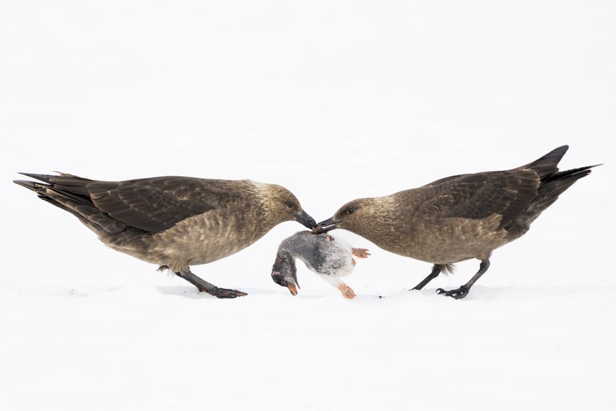 2026 Environmental Photography Prize
