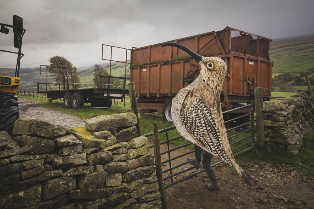 2026 Environmental Photography Prize